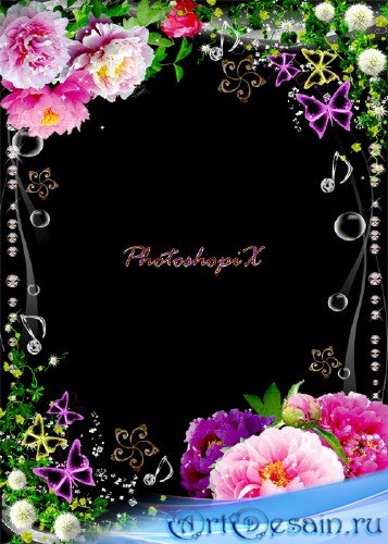    Photoshop     