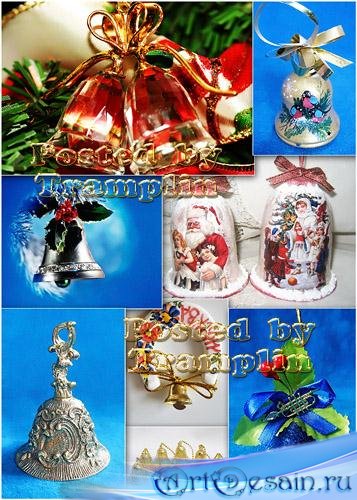    - Christmas campanulas