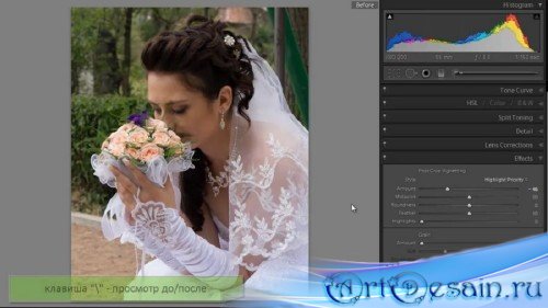  Lightroom 2-4    (2012, RUS, MP4, .)