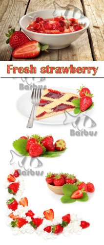 Fresh strawberry /   - Photo stock