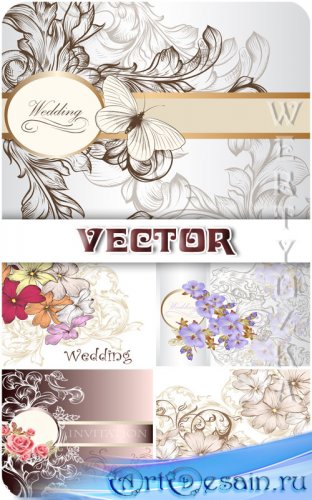       / Wedding backgrounds with flowers and butterflies - vector