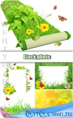 ,     / Flowers, green grass and butterflies - Raster clipart