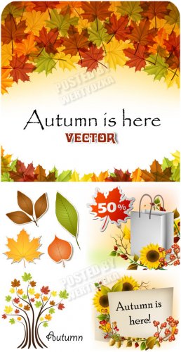  , , ,  / Autumn backgrounds - vector