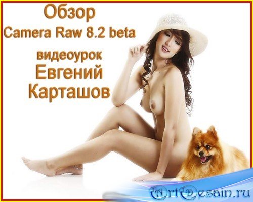   Camera Raw 8.2 beta