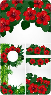 ,     / Hibiscus, tropical plants vector