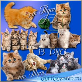  -   / Clip Art -  Fluffy kittens